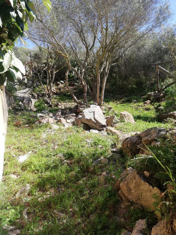 Apartmán Oasiglo La Maddalena  Exteriér fotografie